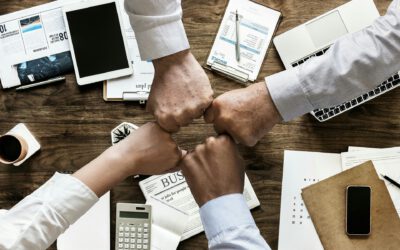 Campañas de generación de bases de datos